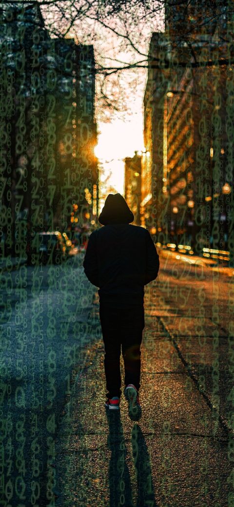 贝宝 App 统计图表界面截图，柱状图与环形图并排展示月度变化趋势，配色以天蓝与深蓝为主，观感冷静克制